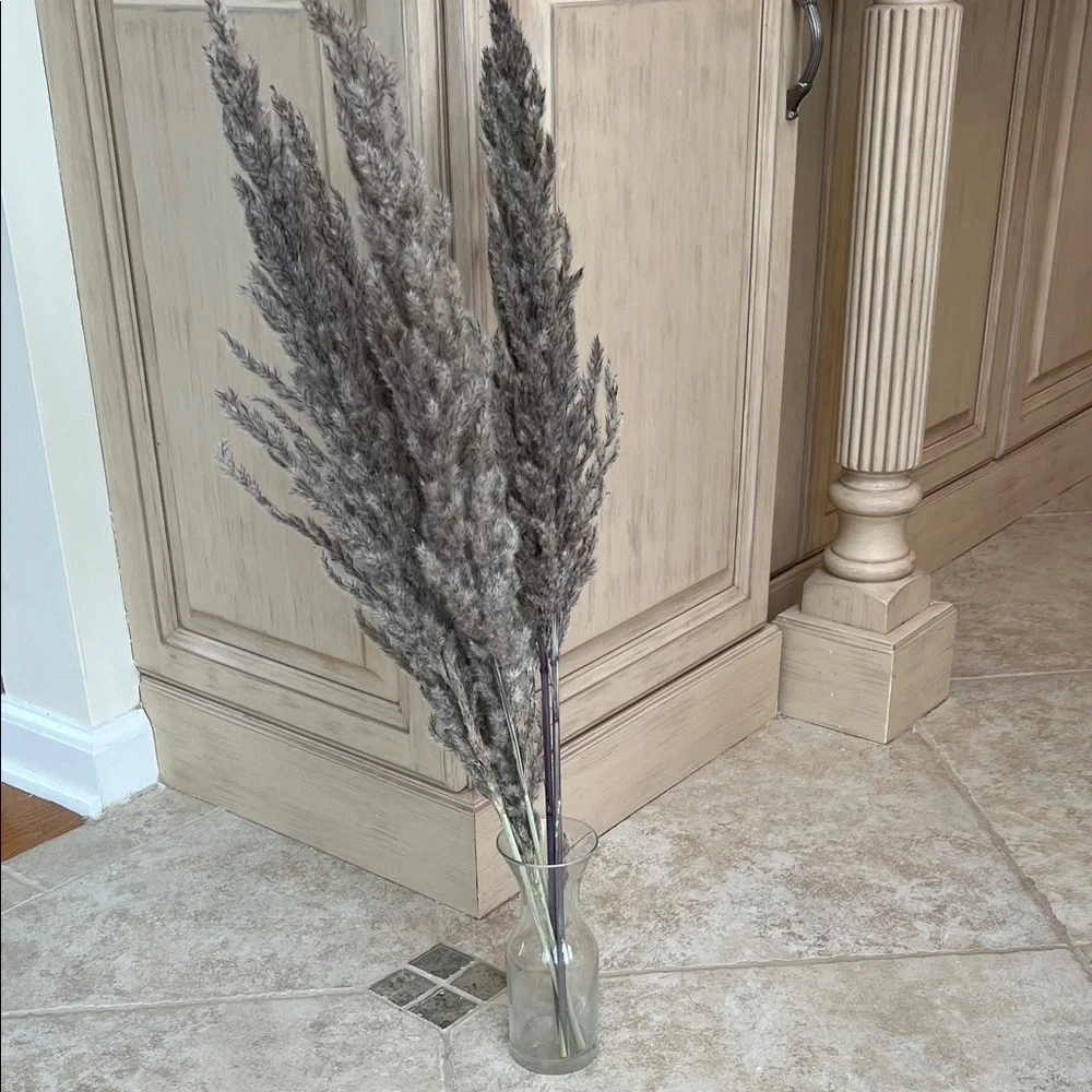 Natural Pampas Grass Gray Set of 5 Stems, Short Length 24